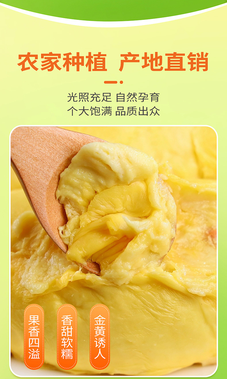 干尧榴莲6.jpg