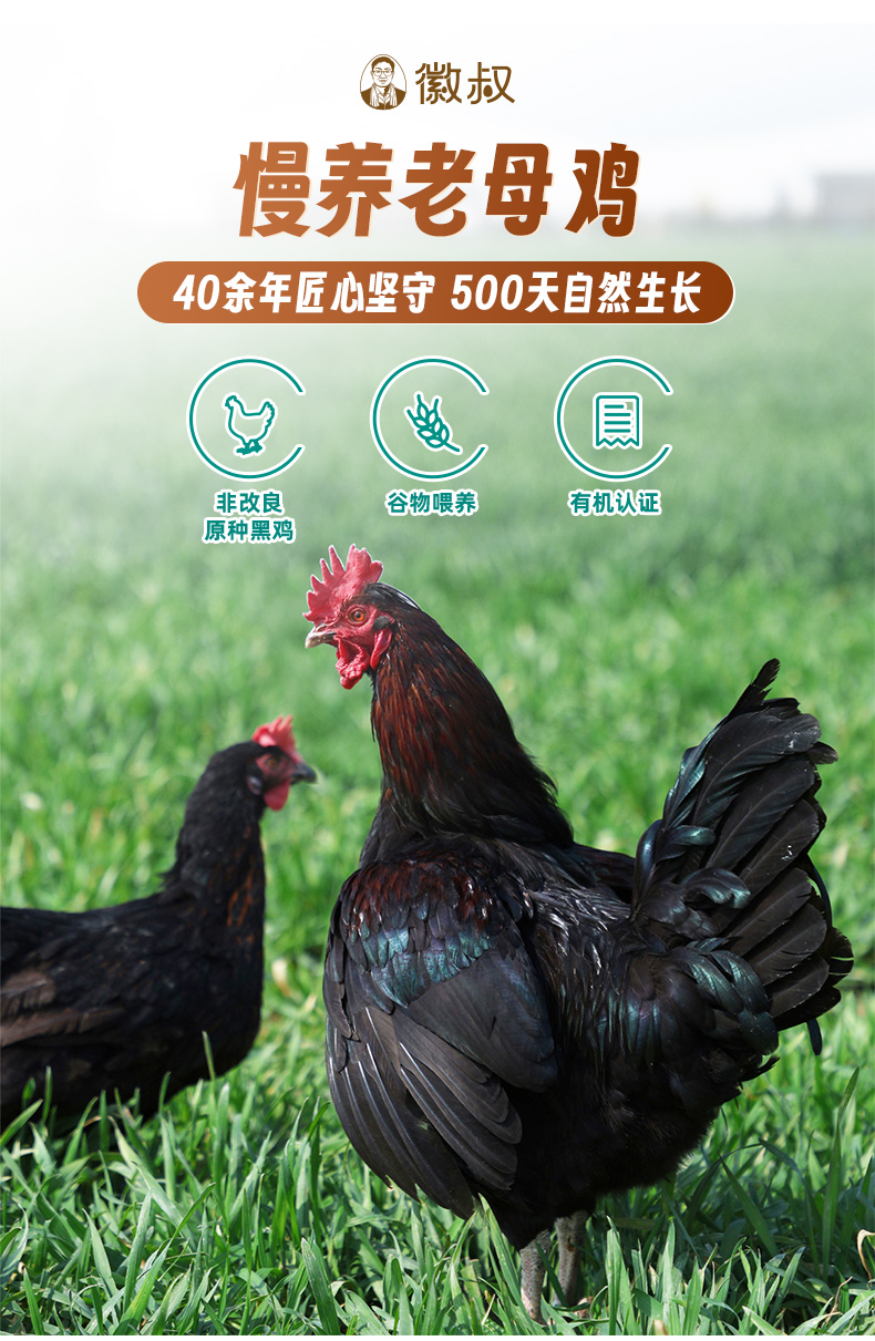 徽叔有机老母鸡1_05.jpg