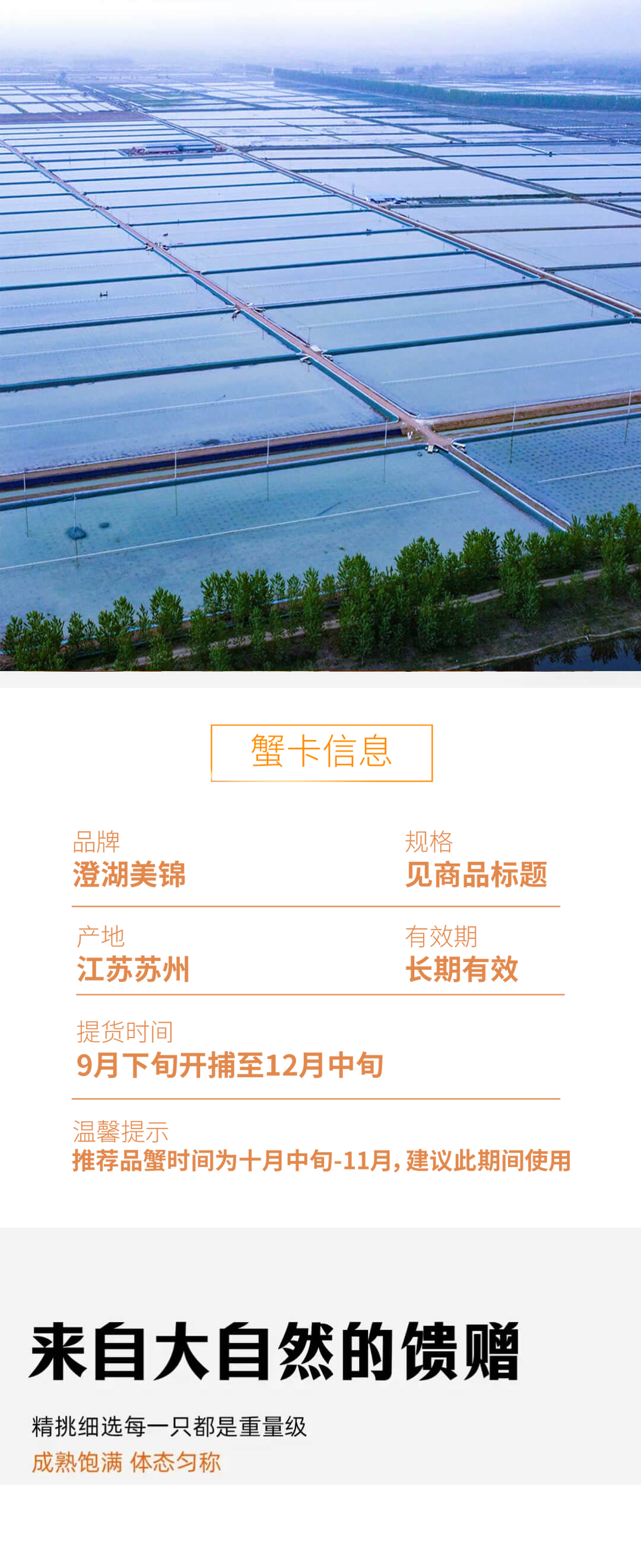 详情页chmj_02.jpg