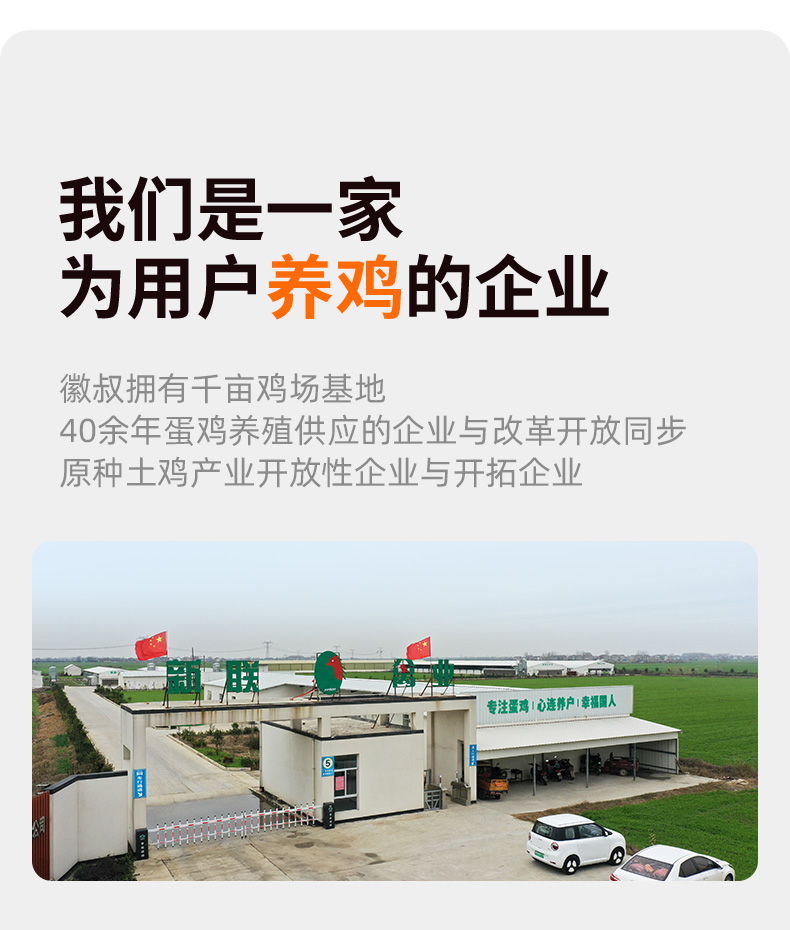 徽叔鸡蛋详情_12.jpg