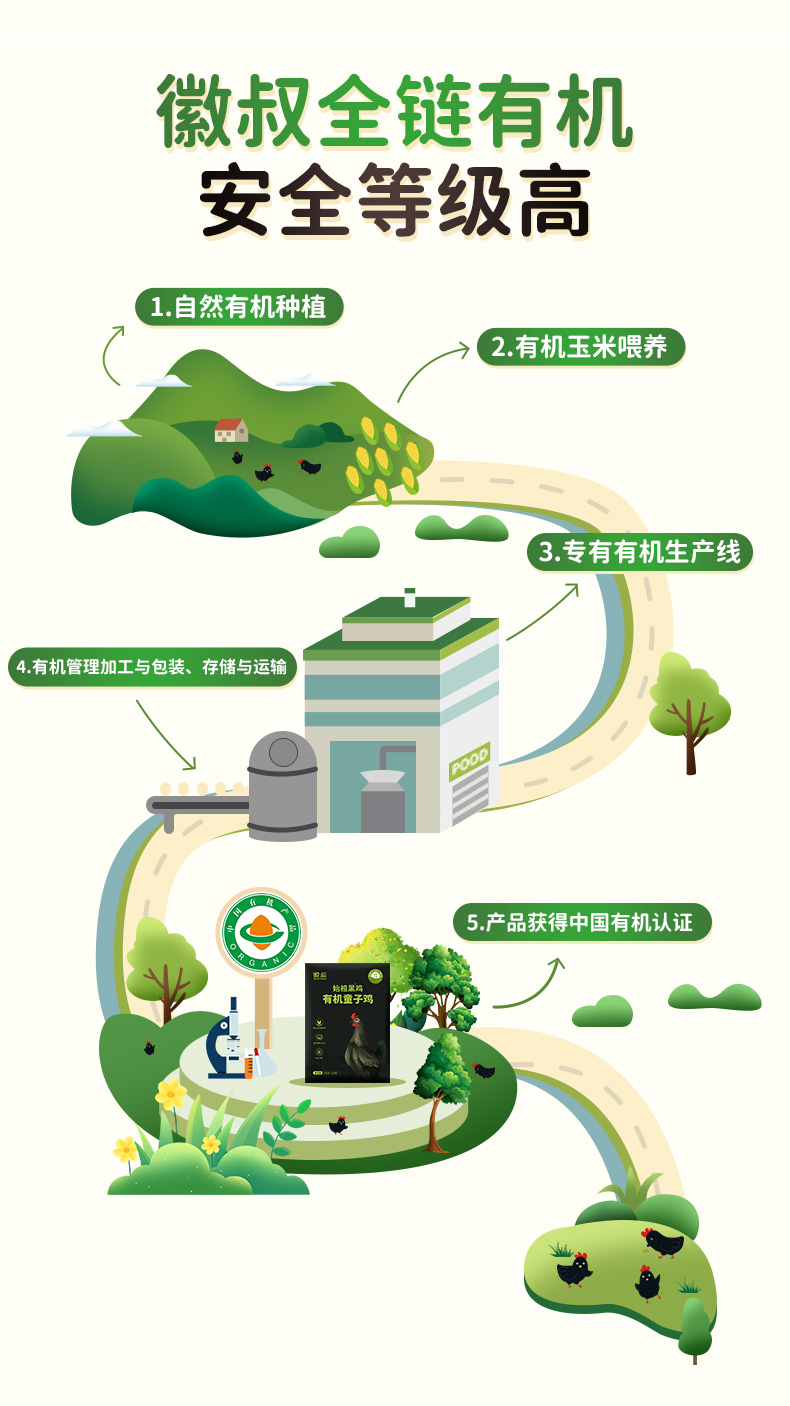 有机童子鸡详情_03.jpg