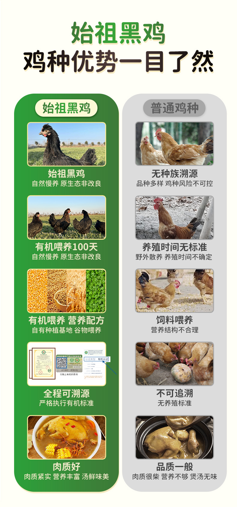有机童子鸡详情_06.jpg