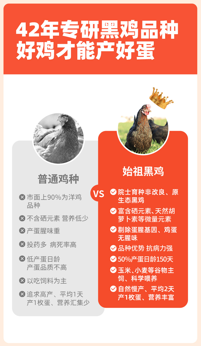 始祖黑鸡富硒鸡蛋详情页1_04.jpg